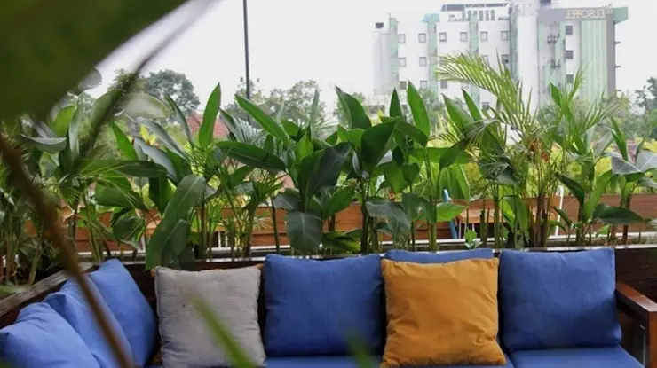 The Rooftop Garden Purwokerto