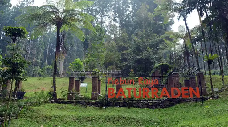 Wisata Kebun Raya Baturaden