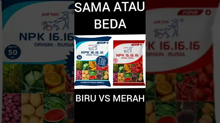 Perbedaan Pupuk NPK Pak Tani Merah dan Biru Terlengkap