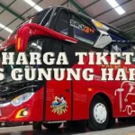 Harga Tiket Bus Gunung Harta Hari Ini